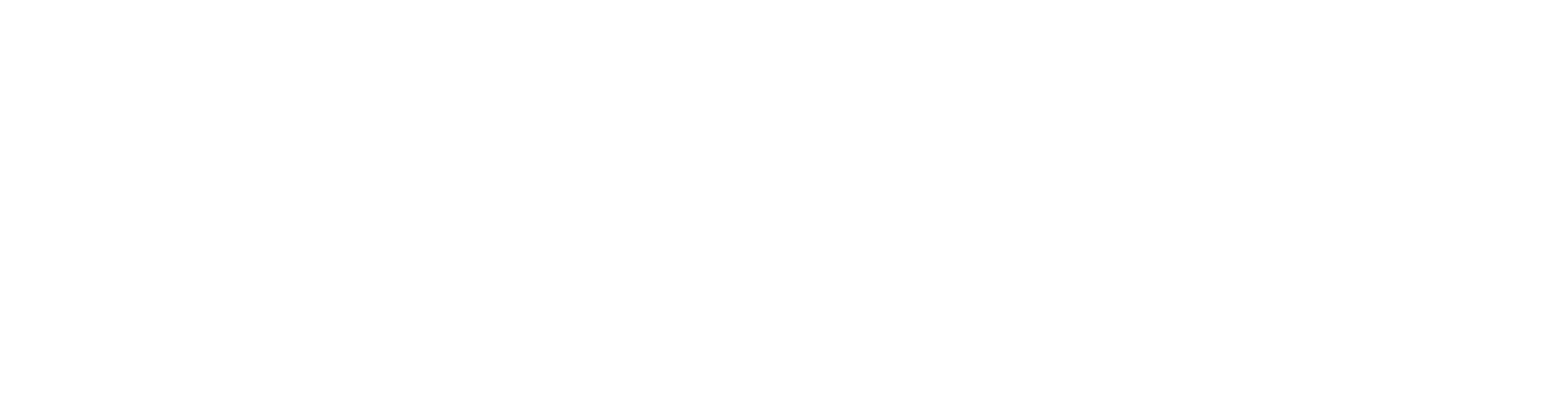 BinaxPay Logo